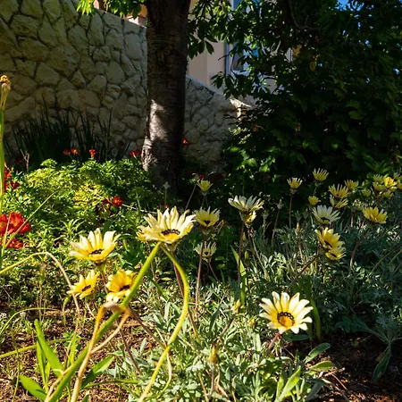 My Dalmatia - House Σπίτι διακοπών *