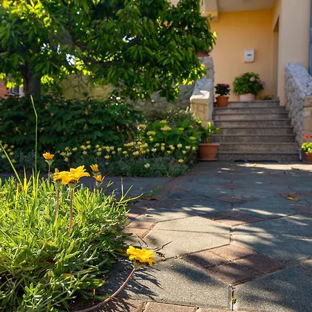 My Dalmatia - House *