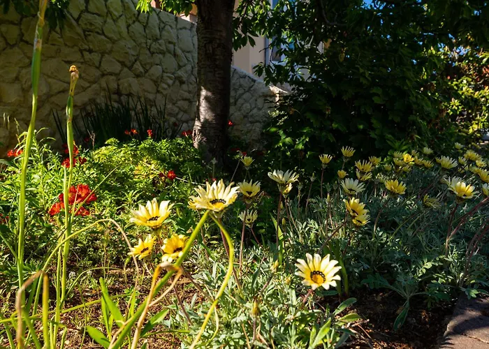 My Dalmatia - House Σπίτι διακοπών *